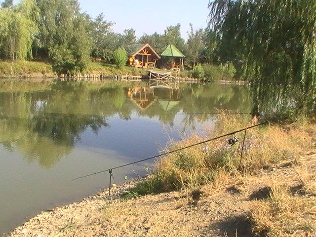 pestiiiiiiiiiiii - pic3775.JPG